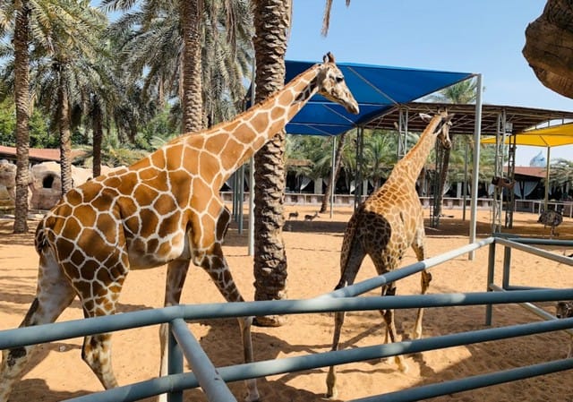 أسعار تذاكر حديقة الحيوانات في أبوظبي 2024